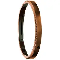 Ricoh GN-2 Ring Cap, pronssi
