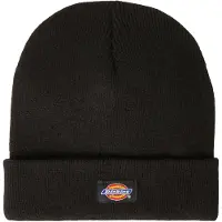 Dickies Gibsland Beanie - Black - ONE SIZE