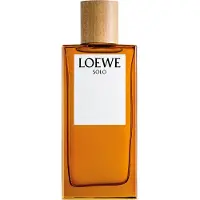 LOEWE Solo et 100 Vap M