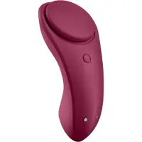 Satisfyer Sexy Secret Wine Red