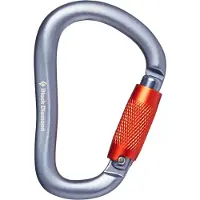 Black Diamond RockLock Twistlock Carabiner Gray One Size