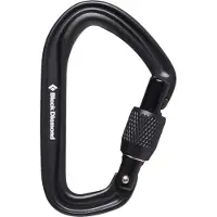 Black Diamond HotForge Screwgate Carabiner Black Kiipeilyvarusteet One Size