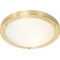 QAZQA Moderni kattovalaisin kulta 31 cm IP44 - Yuma