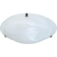 Eglo PLAFONDI EGLO MUURAME 40CM MESS 31176E