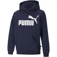 Puma Essentials Big Logo Fl Collegepaita