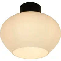 Aneta Lighting Bell iso plafondi
