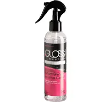 BeGLOSS Perfect Shine Premium Suihke 250 ml