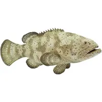 Safari Ltd Goliath Grouper Kuvio