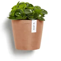 Ecopot's Amsterdam seinäruukku