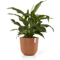 Ecopot's Oslo ruukku