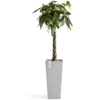 Ecopot's Rotterdam korkea ruukku