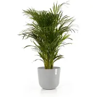 Ecopot's Oslo ruukku