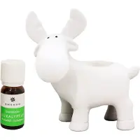 Emendo Saunaporo + eukalyptus 10 ml saunakoriste