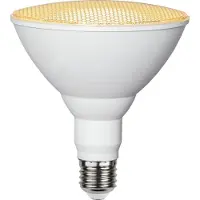 Star Trading LED lamppu E27 1700lm 16W kasvivalo