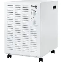 Wood's ilmankuivain SW38FW