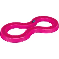 Trixie Flash Ball Race Toy 65x31 Cm Pinkki