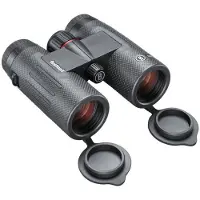 Bushnell Nitro 10x36mm Kiikarit