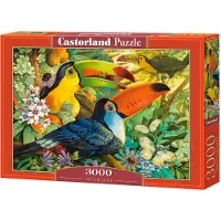 Castorland David Galchutt: Interlude 3000p palapeli