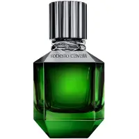 Roberto Cavalli Paradise Found For Men Eau de Toilette 50 ml