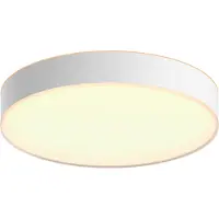 Philips Hue Enrave-kattovalaisin Suuri