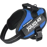 JULIUS K-9 Idc Power Mini Koiran Valjaat