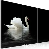 Artgeist Kuva - A lonely white swan