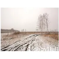 Artgeist Winter field fototapetti