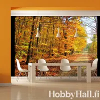 Artgeist Beech forest fototapetti