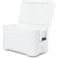 Igloo Coolers Profile Marine 50 47l Jäykkä Kannettava Kylmälaukku