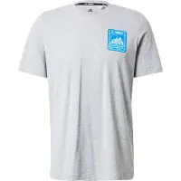 Adidas Terrex Patch Mountain Graphic Lyhythihainen T-paita