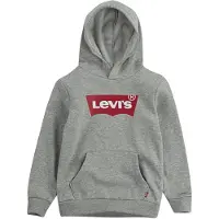 Levi's Screenprint Batwing Pullover Hoodie - Grey - 176