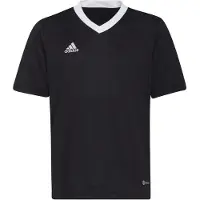 Adidas Treenipaita Entrada 22 - Musta/valkoinen Lapset, koko 152 cm