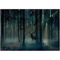 Kärkkäinen Artgeist Mystical Forest - Third Variant fototapetti