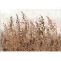 Kärkkäinen Artgeist Tall Grasses - Brown itseliimautuva fototapetti