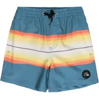 Quiksilver Resin Tint 14 Uimashortsit