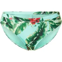 Superdry Vintage Hipster Brief Bikinien Alaosa