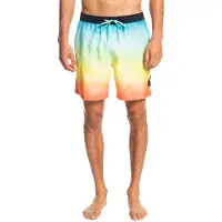 Quiksilver Faded Logo 17 Uimashortsit