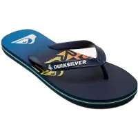 Quiksilver Molokai Art Varvastossut