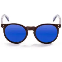 Ocean Sunglasses Lizard Wood Polarisoidut Aurinkolasit