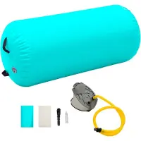 vidaXL Täytettävä voimistelurulla pumpulla 120x75 cm PVC vihreä