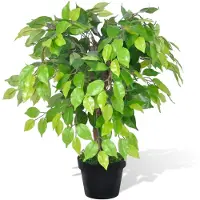vidaXL Tekokasvi Bonsaifiikus Ruukussa 60 cm