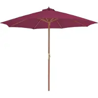 vidaXL Aurinkovarjo puurunko 300 cm viininpunainen