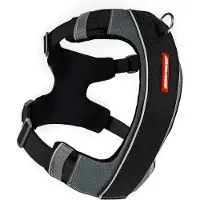 EzyDog Valjaat, X-Link - Eri kokoja, Musta / S (6-10kg)