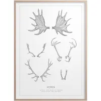 Kunskapstavlan® Horn Juliste 50x70 Cm - Julisteet Paperi Mustavalkoinen - 1969