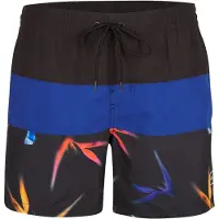 O'Neill Frame Block Uimashortsit