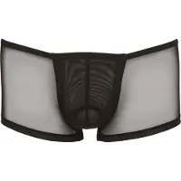 Erotic Treasure Swell Function Läpikuultavat Bokserishortsit - Black - L