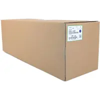 Ricoh D2960122 Tulostusrumpu
