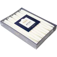 Havi Antique Taper Candle White 8H 20Pack - White - H:28CM