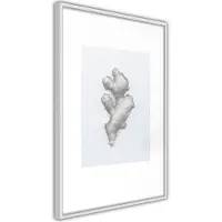 Artgeist Ginger Rhizome juliste