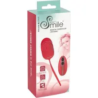 Sweet Smile RC Love Ball